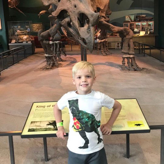 cover of episode 8-Year-Old Calls Out NPR For Lack Of Dinosaur Stories